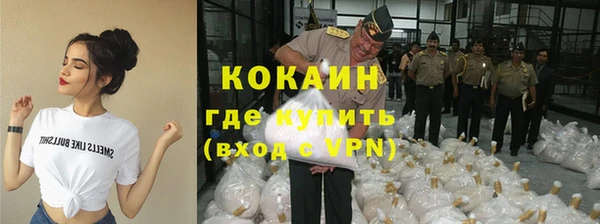 винт Липки
