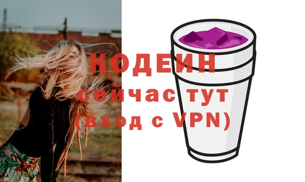 индика Майский