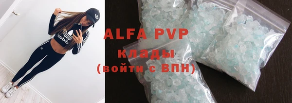 индика Майский