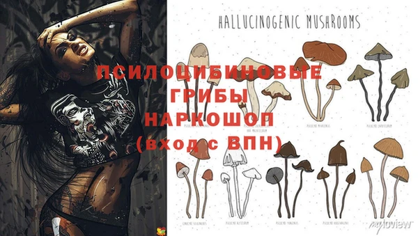 Альфа ПВП Лихославль