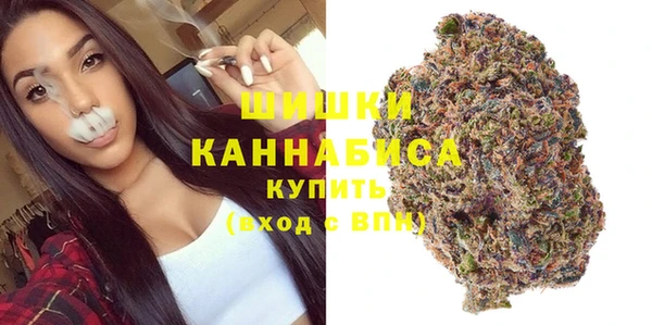 винт Липки