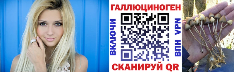Галлюциногенные грибы MAGIC MUSHROOMS  Сокол 