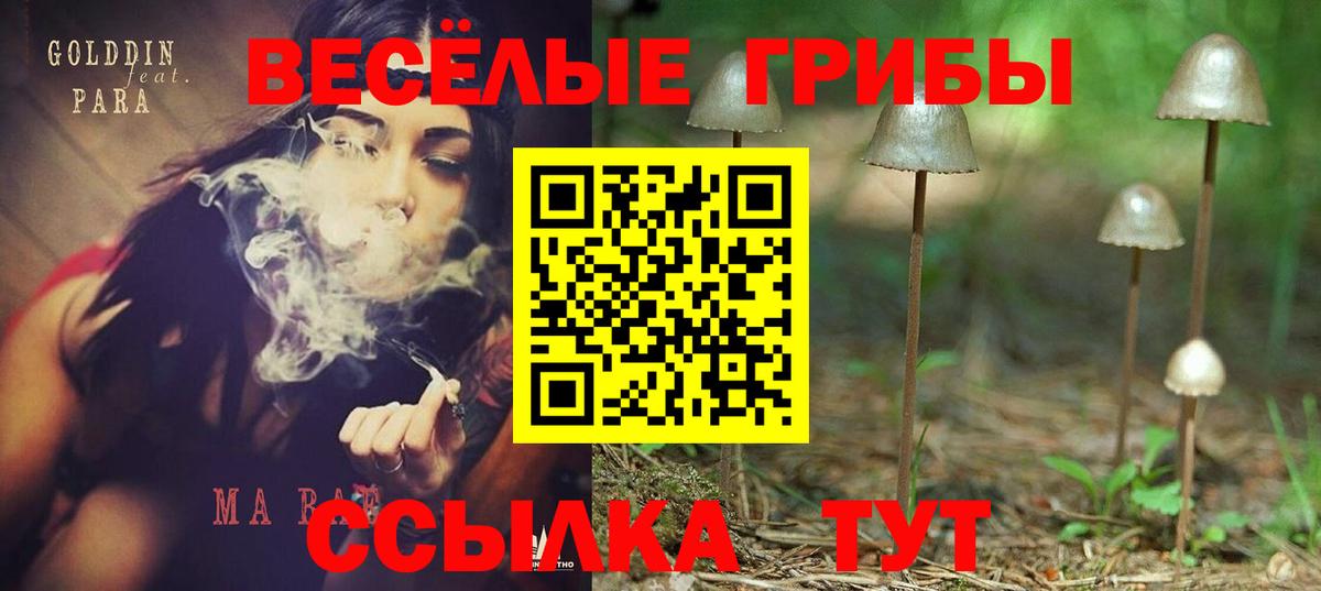 Псилоцибиновые грибы ЛСД  Вход с VPN  Галлюциногенные грибы MAGIC MUSHROOMS  Сокол 